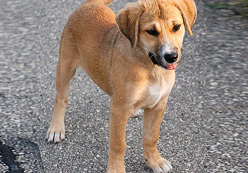 Before editing example