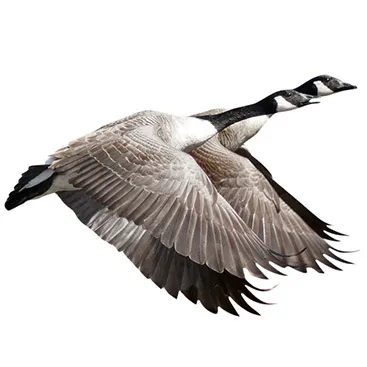 After editing example 1